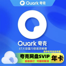 夸克网盘 超级会员12个月