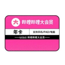 哔哩哔哩 bilibili 大会员年卡 12个月