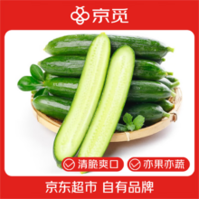 京鲜生 山东荷兰水果黄瓜 净重4斤 单果80g