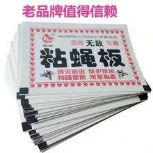 源今 4632 强力粘苍蝇贴 20片装 居家必备