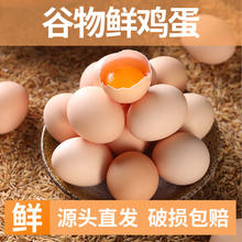 散养谷物鸡蛋 40±5g 10枚