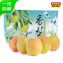PLUS会员：京鲜生 库尔勒香梨 4斤装 单果100-120g