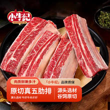 限移动端、京东百亿补贴：小牛纪 澳洲原切黄膘牛排骨2.5kg牛肋排炖煮烧烤冷冻带骨牛肉源头直发 草原黄膘牛排2.5kg