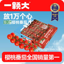 88VIP会员：一颗大 樱桃串番茄甄选礼盒新鲜自然熟老味道自然熟生吃小柿子
