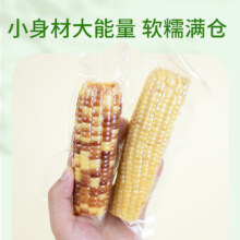 【京东快递】精品云南花糯玉米 即食锁鲜 0.36kg±10g两根