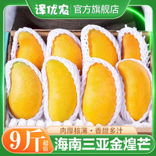 译优农 海南金煌芒 9斤精选果