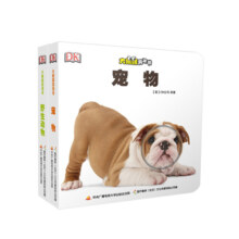 DK大眼睛洞洞书系列第一辑·快来认识它（套装共2册）