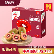 佳沛 新西兰宝石红奇异果12粒装