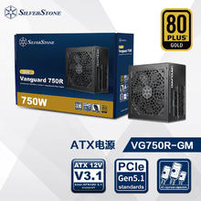银欣 银昕（SilverStone）额定750W VG750R-GM 金牌ATX3.1电源 (原生PCIE5.1/全日系电容/压纹材质/风扇启停)