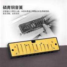 天鹅 布鲁斯口琴10孔蓝调十孔成人儿童学生初学入门自学旗舰店