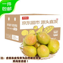 京鲜生 新疆库尔勒香梨 净重4.5斤 单果100g-120g