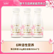 每日鲜语 鲜牛奶 3.6g优质蛋白巴氏杀菌乳 250ml*3瓶 低温牛奶