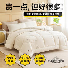 睡眠英雄 SleepHero A类抑菌100%新疆棉花秋冬棉被子 里外全棉被芯 4斤 150*200cm