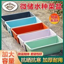 德沃多肥料 DWD 花盆长方形阳台种菜专用盆霍伦盆种植箱草莓盆栽塑料花盆特价加厚