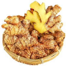 云南小黄姜农家自种 500g