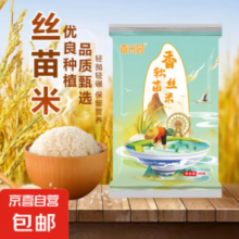 京喜 猫牙米 丝苗米 500g*1袋