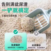 CAT FOREST 金多乐豆腐猫砂10公斤矿砂实惠装除臭几近无尘非混合猫砂