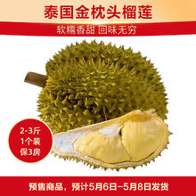 京鲜生 金枕鲜榴莲 巴掌榴莲 1.25-1.75kg 1个装 新鲜水果 源头直发 金枕巴掌榴莲 2.5斤-3.5斤