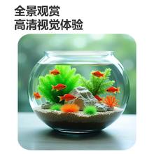 京喜 高清鱼缸 生态缸桌面溪流缸迷你金鱼缸小型水族箱养鱼龟缸PET 小mini鱼缸