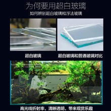 森森 金鱼缸小型水族箱超白玻璃客厅生态水草缸乌龟缸裸缸造景草缸