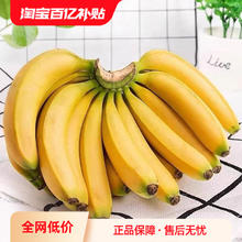千谷岛 云南高山香蕉 9斤
