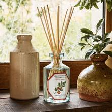欧洲直邮法国Carriere Freres植物学家南美小番茄扩香器200ml