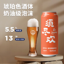 熊猫精酿 须尽欢 蜂蜜精酿啤酒 500mL*6罐