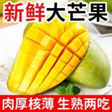 淘宝买菜农场直发 越南青皮芒果 玉芒5斤