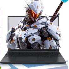 23号21点新品：机械革命 极光X Pro 16英寸 酷睿i7HX 游戏本(i7-14650HX 32G 1T RTX5070Ti 2.5K屏 300Hz 黑)