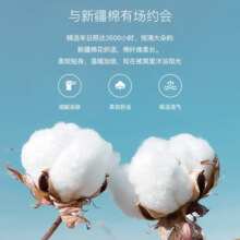 梦洁家纺 纯棉磨毛四件套冬季加厚保暖全棉床单被套被罩床上用品简约 卡尔的猫 床单款 （被套150*200cm） 三件套