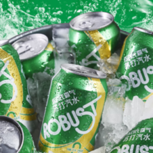 0糖0脂0卡！robust 乐百氏 无糖苏打气泡水330mL*24罐装饮料