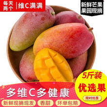 集年鲜 海南贵妃芒果整箱 净重4.5斤钻石果 单果100-150g