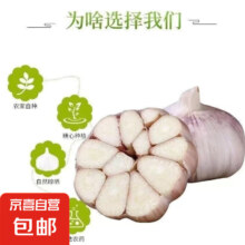 山东大蒜干蒜新鲜白皮精品大蒜 大蒜15-17头 1斤 中果4-4.5厘米
