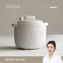 欧莱克 立时 微压电炖盅2.5升家用电炖锅煲汤全自动炖汤锅煮粥