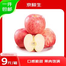 京鲜生 山东烟台红富士苹果 9斤装 果径80mm起 新鲜水果 源头直发 8斤装 果径80mm起35.5元（需买2件，需用券）