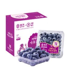 限移动端、京东百亿补贴：佳沃 云南蓝莓 18mm+ 125g/盒 12盒装