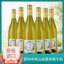 智利原瓶进口，Tenpa 天帕 霞多丽干白葡萄酒750mL*6瓶