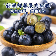 京丰味 蓝莓 新鲜时令国产蓝莓水果 100g-125g/盒 精选巨无霸果 特大果径约15mm+ 4盒