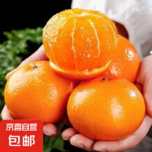 正宗云南宾川沃柑 带箱2斤沃柑50mm+或55g±2g
