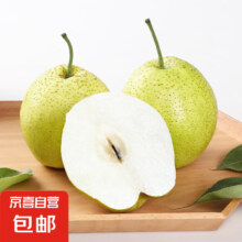 赵县冰糖雪花梨 带箱4斤（单果250g+)