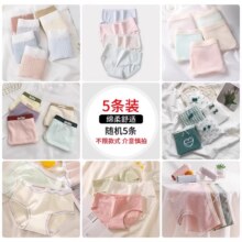 【金币】5条黛尔佳人纯棉女士内裤