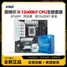Intel i5 12600KF CPU散片/盒装  B760M终结者D4 板U套装