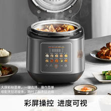 九阳 5升用一锅双胆多功能百千帕免排汽0涂层316L内胆IH大火加热煮高压锅Y-50IHZ3