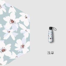 淘宝百亿补贴：Beneunder 蕉下 口袋黑胶五折伞 浅草