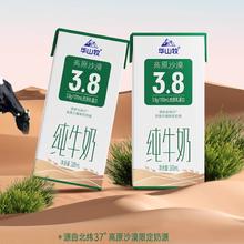 华山牧 纯牛奶 3.8纯牛奶 200g*10盒