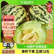 88VIP会员：农鲜淘 山东聊城甜瓜 1.5kg 250g起