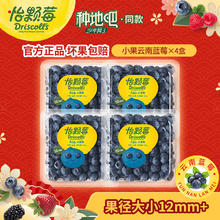 Driscoll's 怡颗莓 云南新鲜蓝莓 125g*4盒