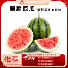 骑猴赶马 麒麟西瓜当季现摘超值新鲜水果应季现摘生鲜瓜大西瓜 精选 5-6斤 | 多层保护 源头直采