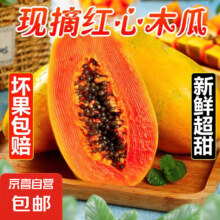 红心牛奶木瓜 放熟食用 2斤装（1-2个果）单果400g+