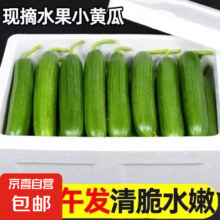 山东小黄瓜新鲜水果黄瓜现摘生吃脆甜青瓜整箱批发 水果黄瓜 4斤11.99元